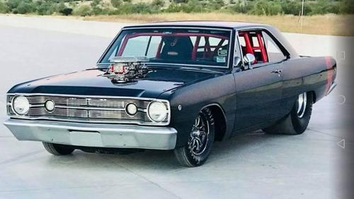 27459143_10214933187513618_6023757982839137706_n