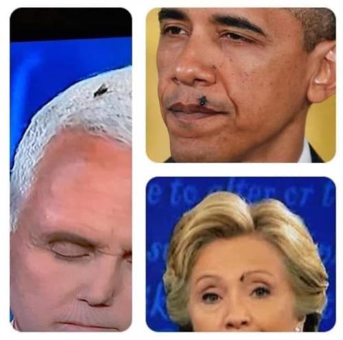 120924099_3290932160944335_6391962310123774342_n