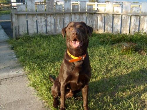 1909669_1196612754061_2645692_n_1196612754061