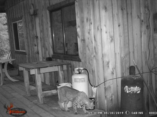 64437555_10219357707151998_5892066600302936064_o_10219357707071996