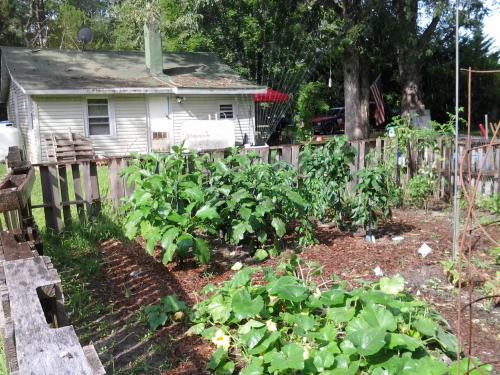 10914734_619451851513698_4179461435398609783_o