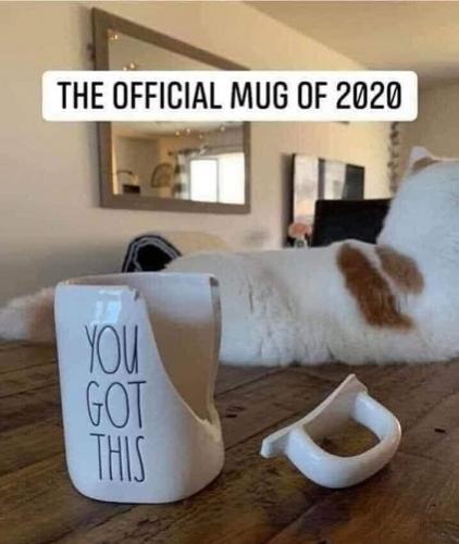 a15e257193b237e067e6fdc31aef210b