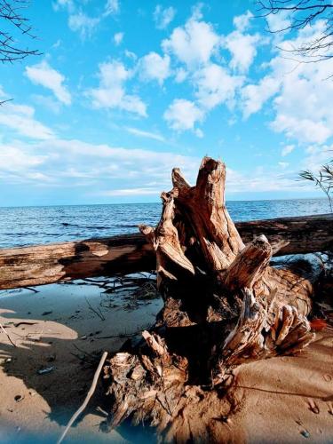 18:05:18 GMT-0400 (EDT)