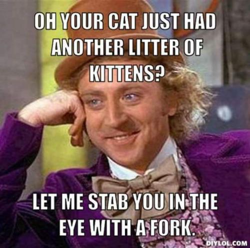 FB_IMG_1589035767365