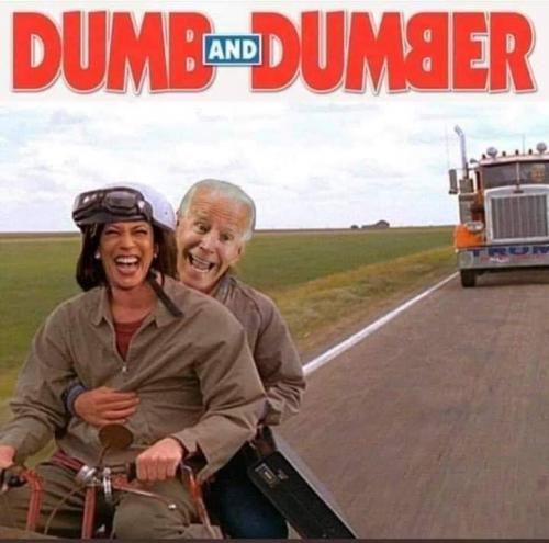 Dumb and Dumber