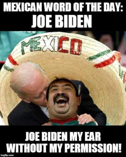 biden-my-ear