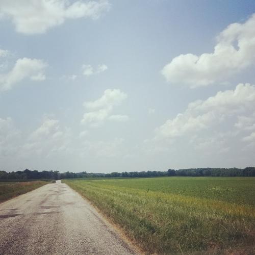 16:19:14 GMT-0400 (EDT)