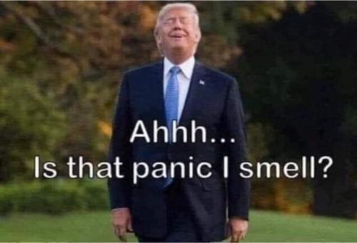 Is that Panic I Smell