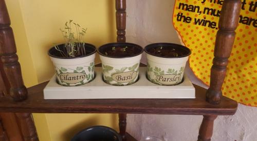 12717780_10201274754946838_924999207327637414_n_10201274754946838