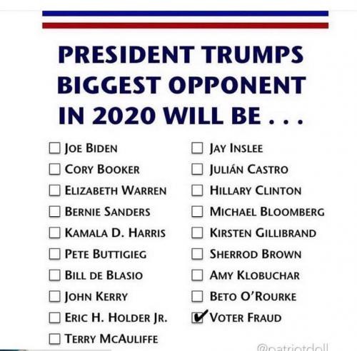 bittest opponent 2020 trump election will be joe biden booker warren sanders harris buttgeist demvotefraud voter fraud