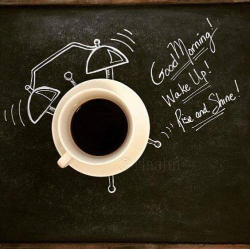 12717240_10201239501865533_9118123554031022192_n_10201239501865533