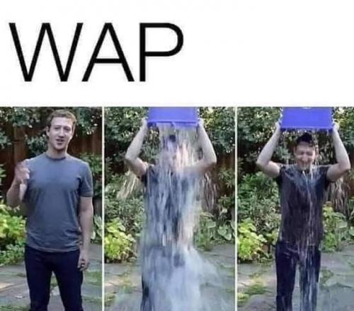 FB_IMG_1599697609742