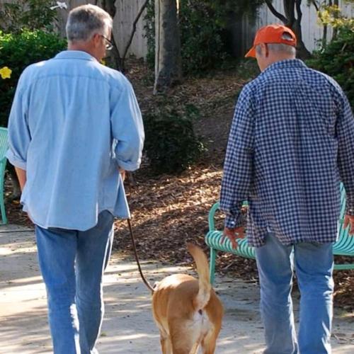 01:22:15 GMT+0100 (WAT)