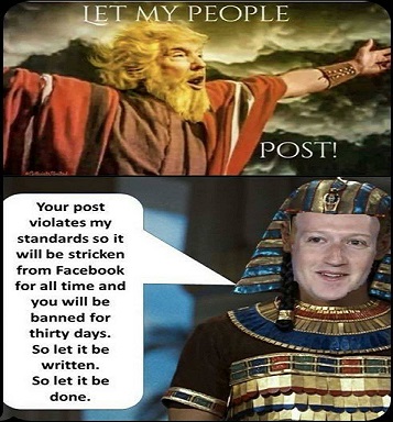 123063768_456853641948702_6603097767687719706_o