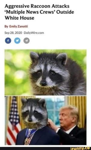 121239752_10217069824529953_3449828926951309265_n