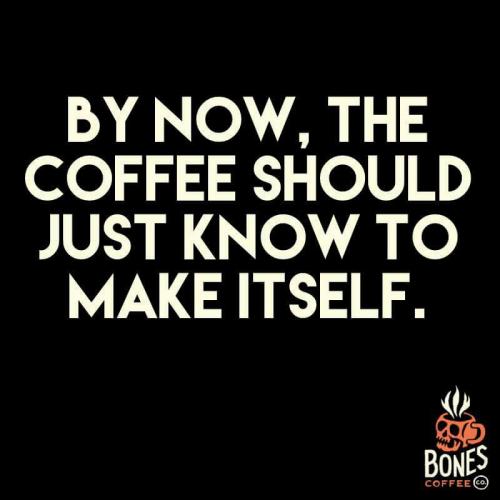 16508797_10202665681639136_8206697259748906338_n_10202665681639136