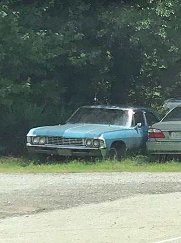 119489466_2705153259802252_4491846479225132086_n_2705153256468919