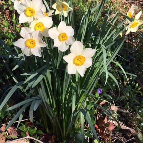 IMG_20200924_125658_207