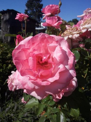 17:21:25 GMT-0700 (PDT)