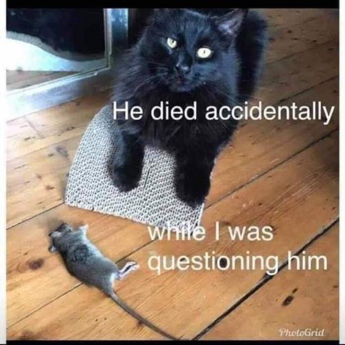 11:21:05 GMT-0400 (EDT)