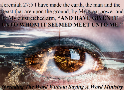 122147090_1751142835039954_7930031066060371975_n