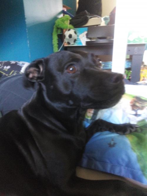 19:45:34 GMT+0100 (BST)