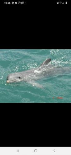 21:42:56 GMT-0400 (EDT)