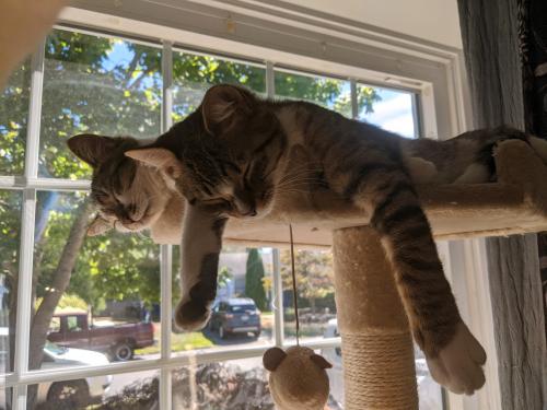 17:12:49 GMT-0400 (EDT)