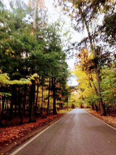 18:05:18 GMT-0400 (EDT)