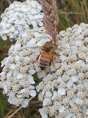 17:21:25 GMT-0700 (PDT)