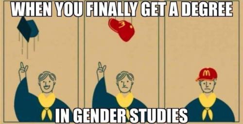 gender studies