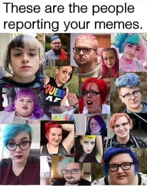 119432384_10104464452683084_8125148549457218079_n