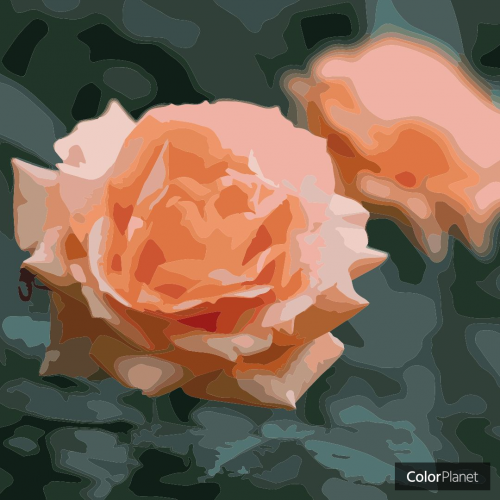 ColorPlanet_201007175805