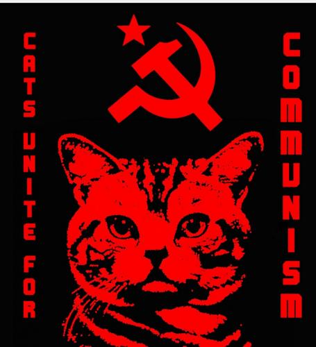 14055053_10201950360196547_7429286887546357104_n_10201950360196547