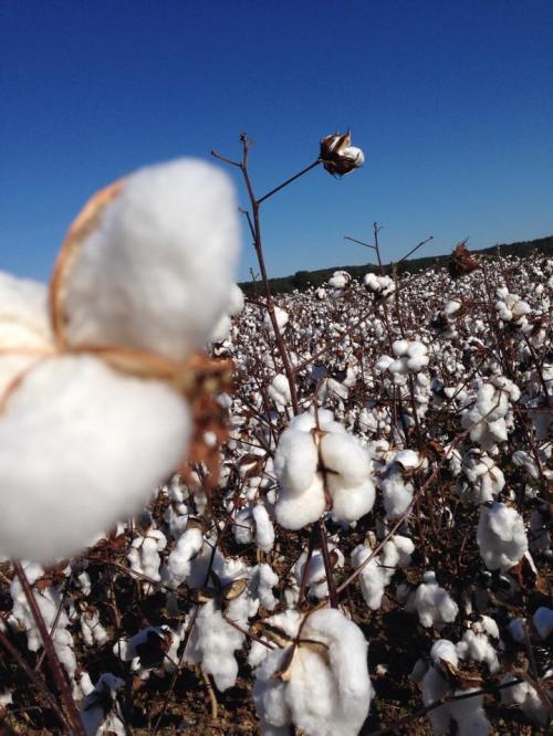 C2ECF695-799C-4CE2-BCBD-57BB6DF7A9B5