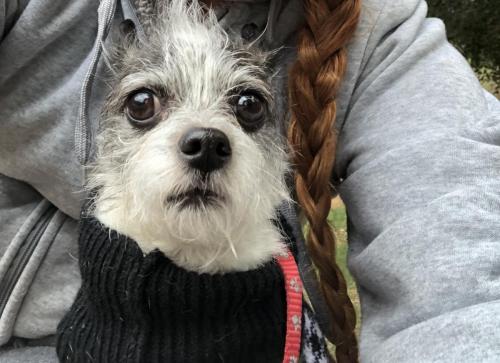 10E67BD1-F077-4608-875C-B50CD1C28AF5