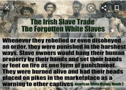 104981581_2820284231573864_6431956447979246483_n