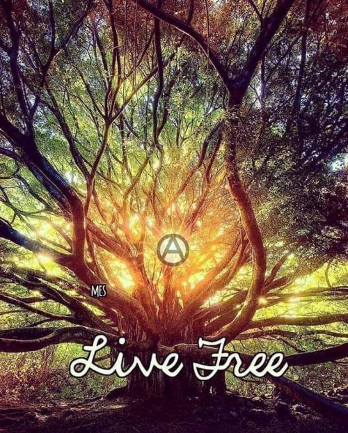 23:32:42 GMT-0500 (CDT)