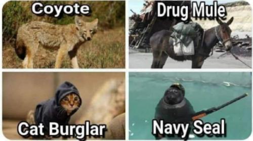 05:42:07 GMT-0700 (PDT)