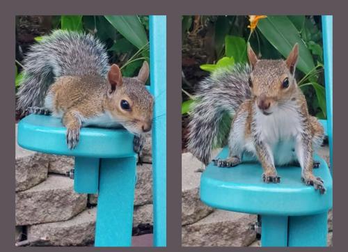 19:45:32 GMT-0400 (EDT)