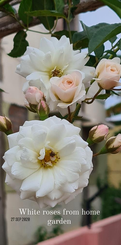 19:03:18 GMT+0530 (IST)