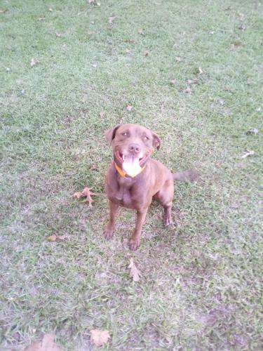 IMG_20200930_182250_8