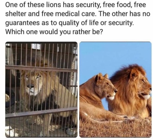 tumblr_46fc416673580470e791375e92ad67f8_629a471f_500