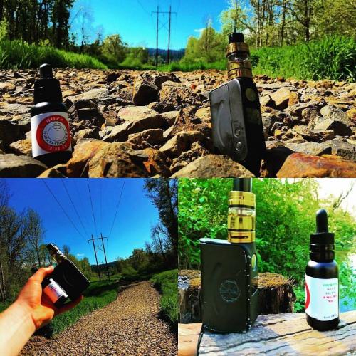 18193266_1495398600490828_3225259445315803343_o