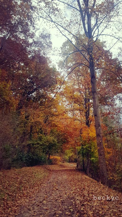 11:55:48 GMT-0400 (EDT)