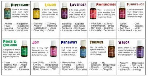 33748352_10204509257047369_963235283296321536_n_10204509257007368