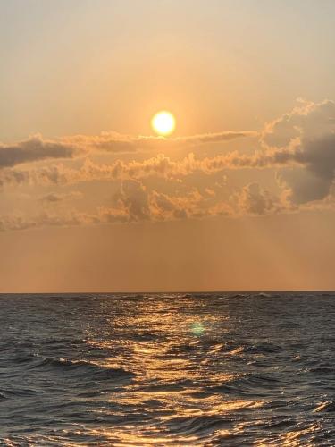 21:42:56 GMT-0400 (EDT)