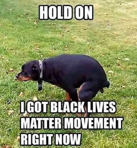 FB_IMG_1593904380850