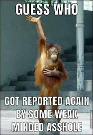 79C506BB-3787-4B62-9EE5-72AE282D2FC1-13899-00000A9B7562FBD1