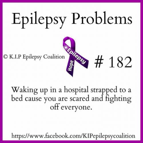 32710817_10204471057692409_5197510284767395840_n_10204471057652408